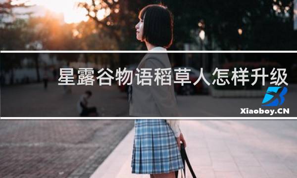 星露谷物语稻草人怎样升级