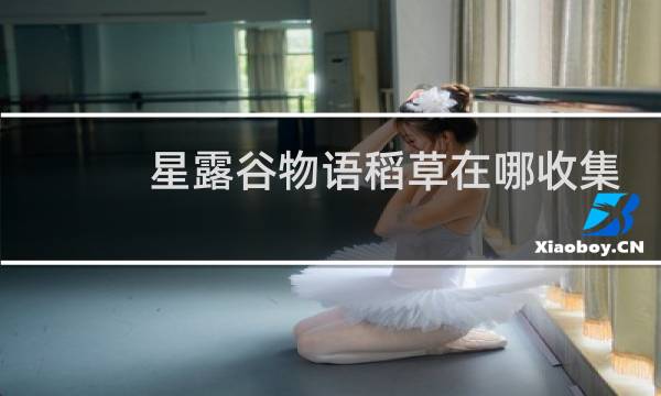 星露谷物语稻草在哪收集