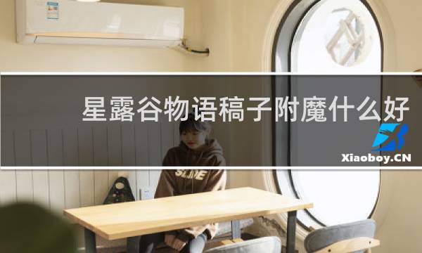 星露谷物语稿子附魔什么好