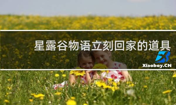 星露谷物语立刻回家的道具