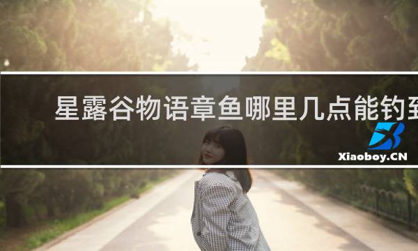 星露谷物语章鱼哪里几点能钓到