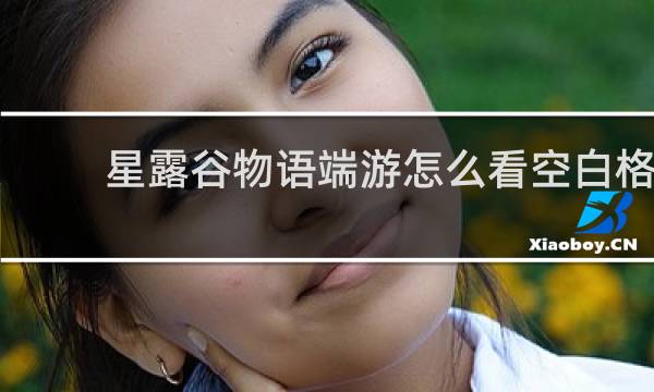 星露谷物语端游怎么看空白格