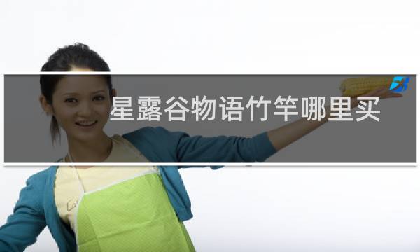 星露谷物语竹竿哪里买