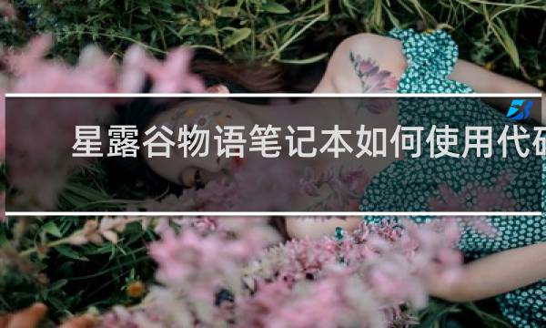 星露谷物语笔记本如何使用代码