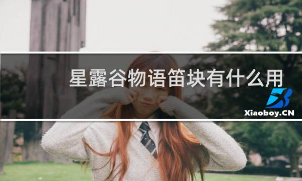 星露谷物语笛块有什么用