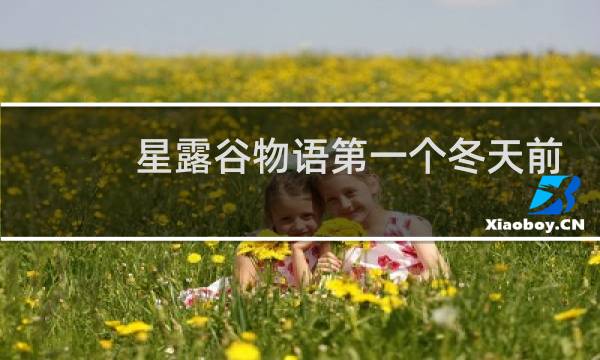 星露谷物语第一个冬天前