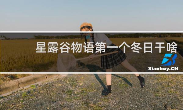 星露谷物语第一个冬日干啥