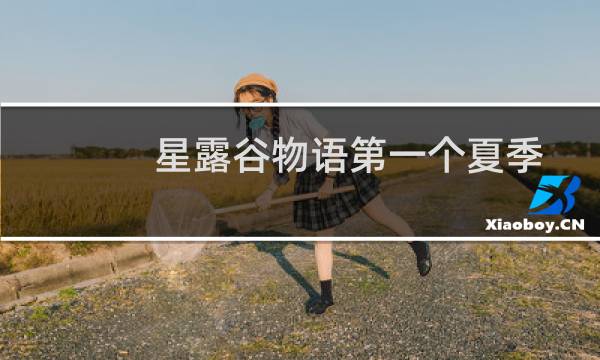 星露谷物语第一个夏季