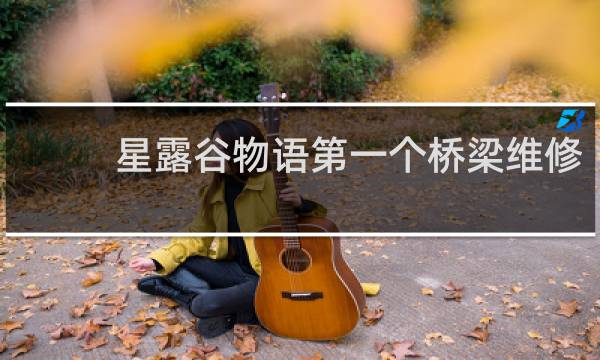 星露谷物语第一个桥梁维修