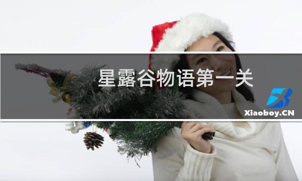 星露谷物语第一关