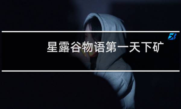 星露谷物语第一天下矿