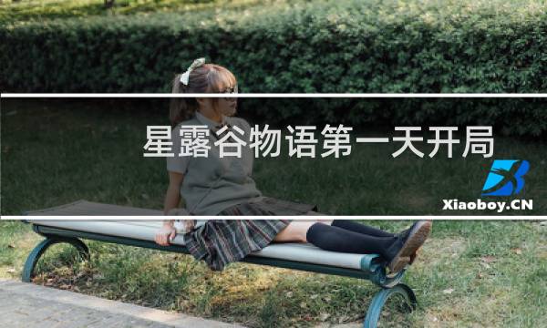 星露谷物语第一天开局