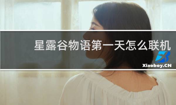 星露谷物语第一天怎么联机
