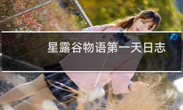 星露谷物语第一天日志