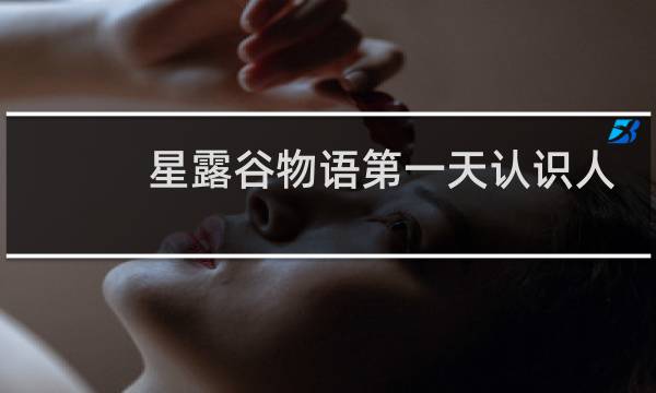 星露谷物语第一天认识人