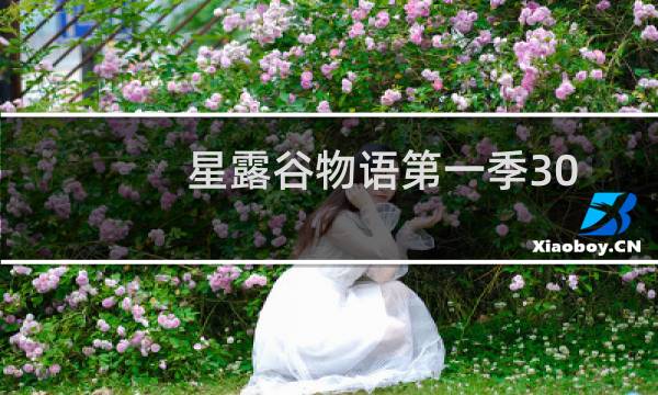 星露谷物语第一季30