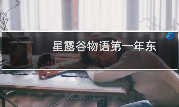 星露谷物语第一年东