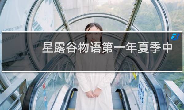 星露谷物语第一年夏季中