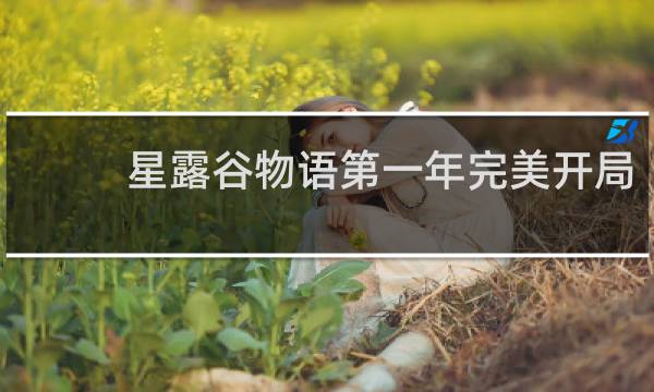 星露谷物语第一年完美开局