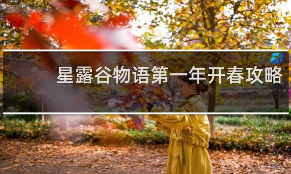 星露谷物语第一年开春攻略