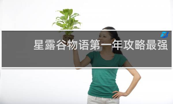星露谷物语第一年攻略最强