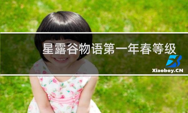 星露谷物语第一年春等级