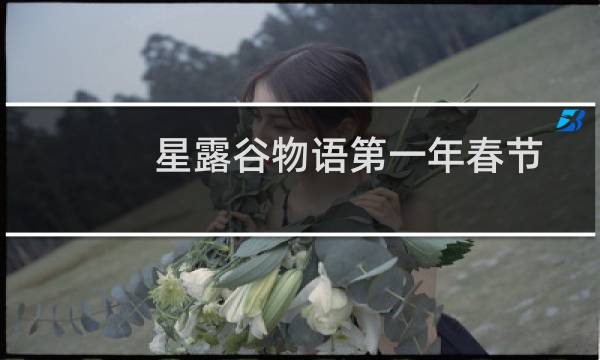 星露谷物语第一年春节