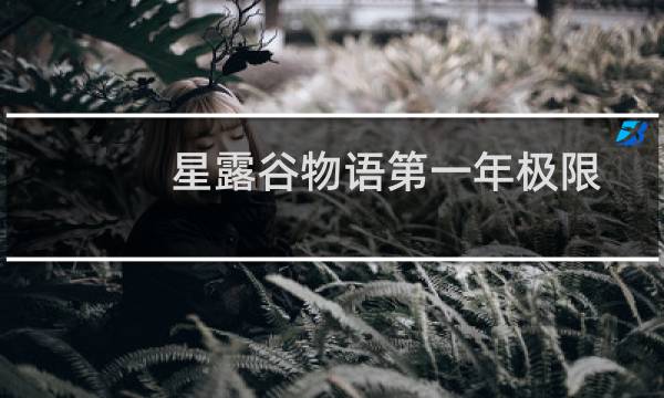 星露谷物语第一年极限