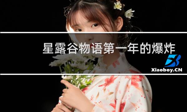 星露谷物语第一年的爆炸