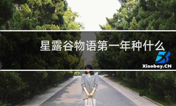 星露谷物语第一年种什么