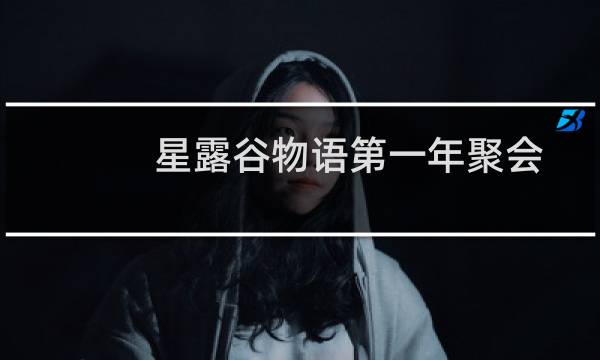 星露谷物语第一年聚会