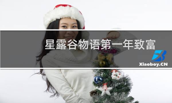 星露谷物语第一年致富