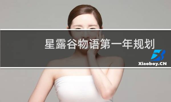 星露谷物语第一年规划