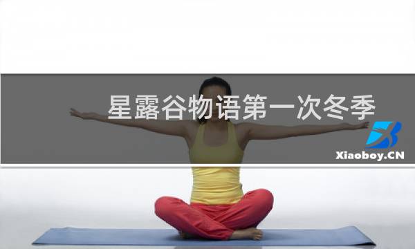 星露谷物语第一次冬季
