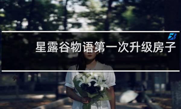 星露谷物语第一次升级房子