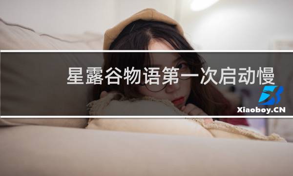 星露谷物语第一次启动慢