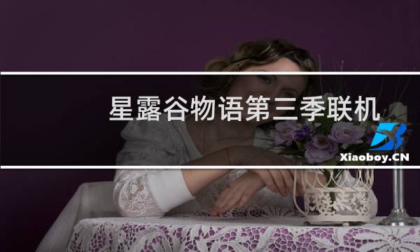 星露谷物语第三季联机