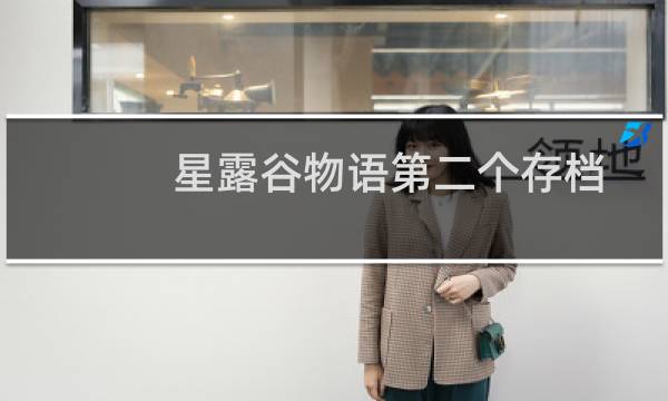 星露谷物语第二个存档