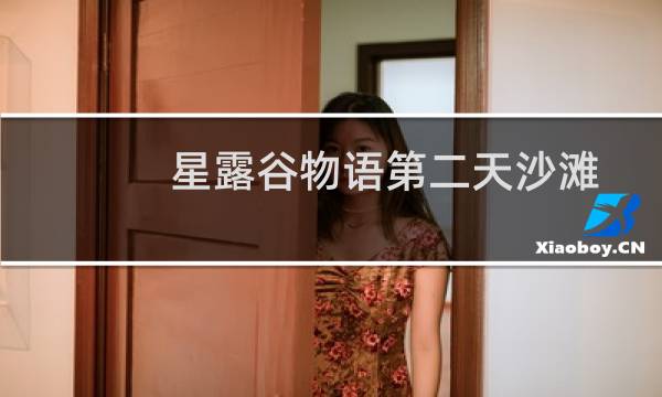 星露谷物语第二天沙滩