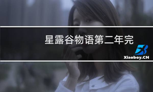 星露谷物语第二年完