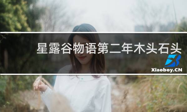 星露谷物语第二年木头石头