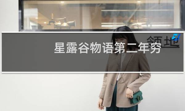 星露谷物语第二年穷