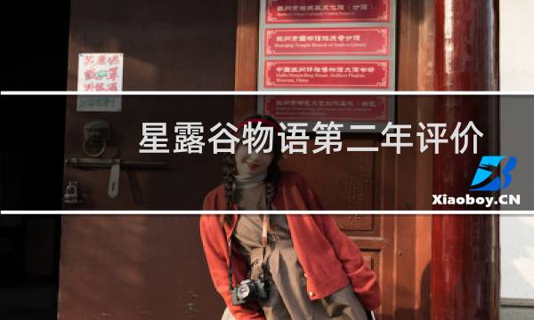 星露谷物语第二年评价