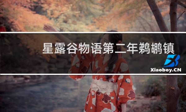 星露谷物语第二年鹈鹕镇