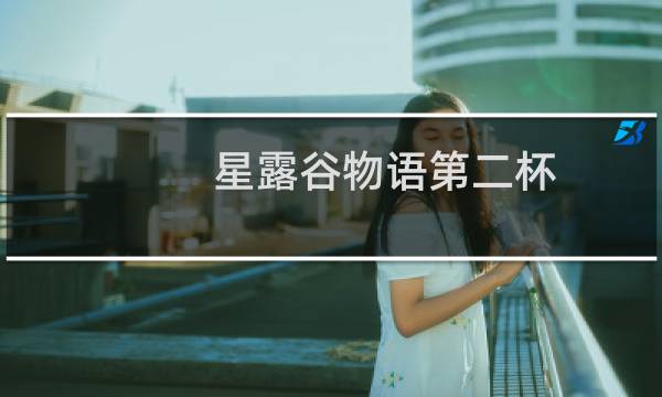 星露谷物语第二杯