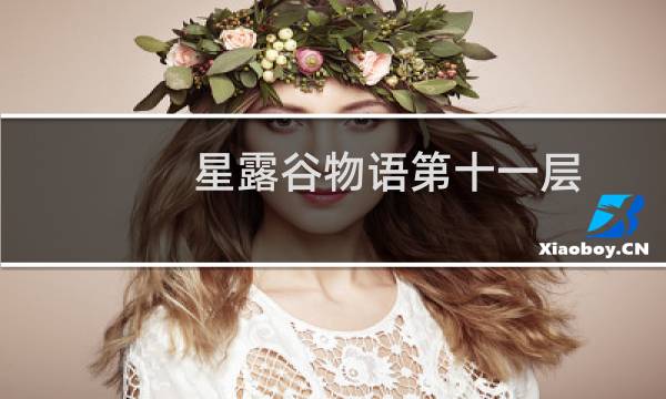 星露谷物语第十一层