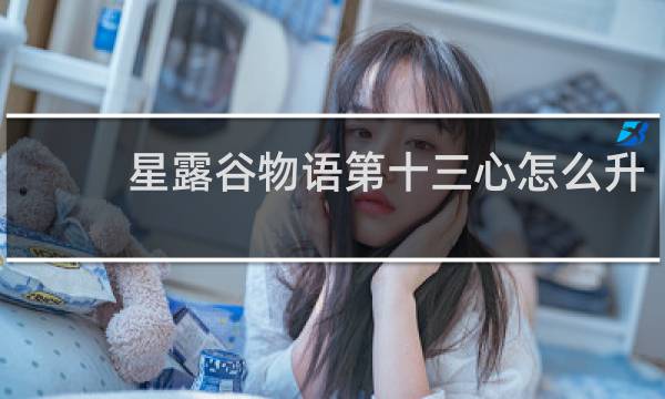 星露谷物语第十三心怎么升