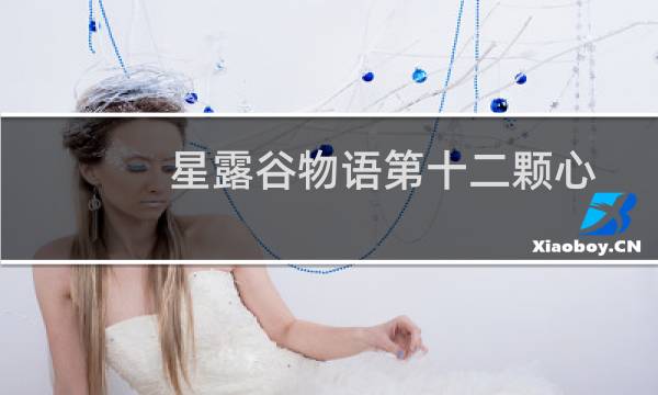 星露谷物语第十二颗心