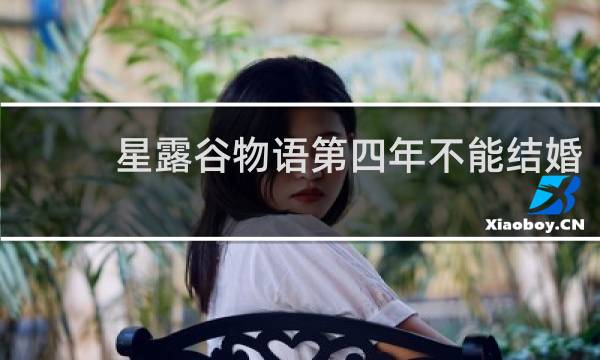 星露谷物语第四年不能结婚