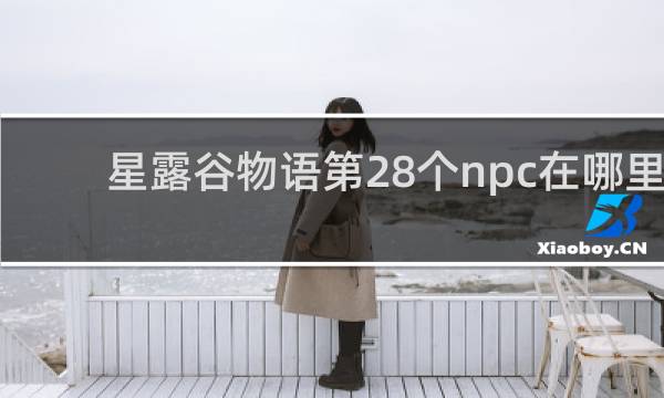 星露谷物语第28个npc在哪里